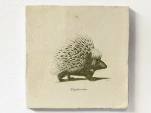 Groovy Magnets Настенный декоративный предмет из керамики Tiles M-tile-po