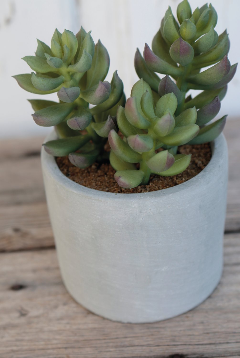 6068 883 a3 Пластиковые суккуленты-микс, в горшках, 3 шт., 10/14/17 см, зеленые H-andreas  - Вид №16