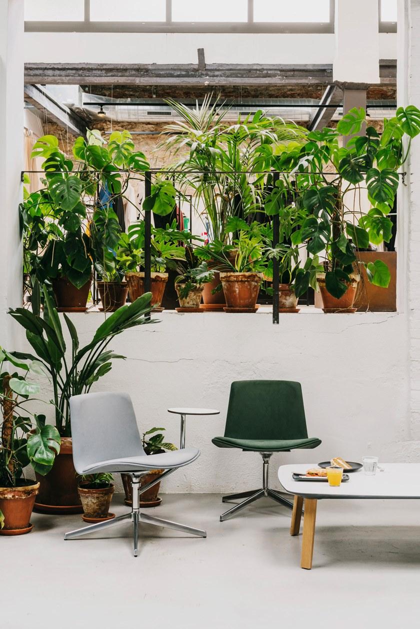 ENEA Кресло с обивкой из ткани с 4 спицами Lottus lounge sun-id-1429077 - Вид №5