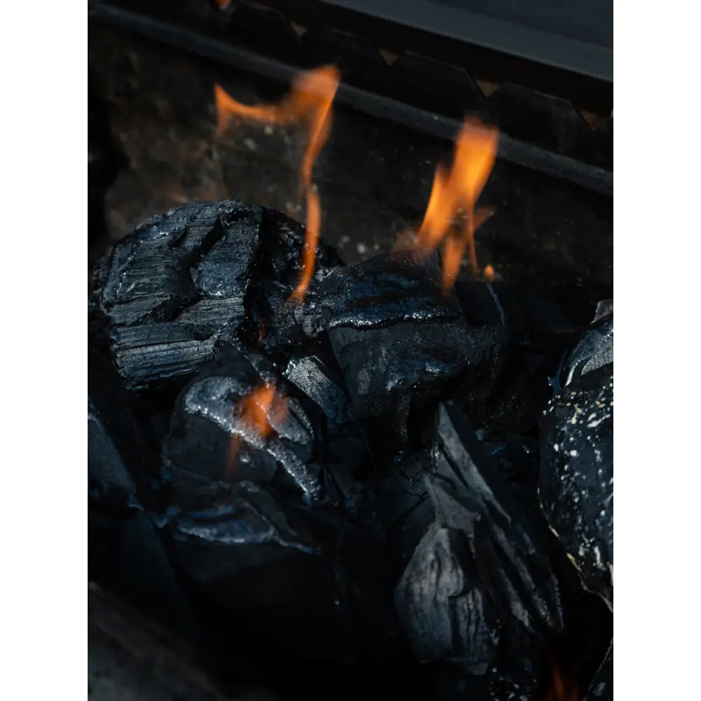 Гель для розжига Forester 1 л Santreyd STLM-2045715 - Вид №3