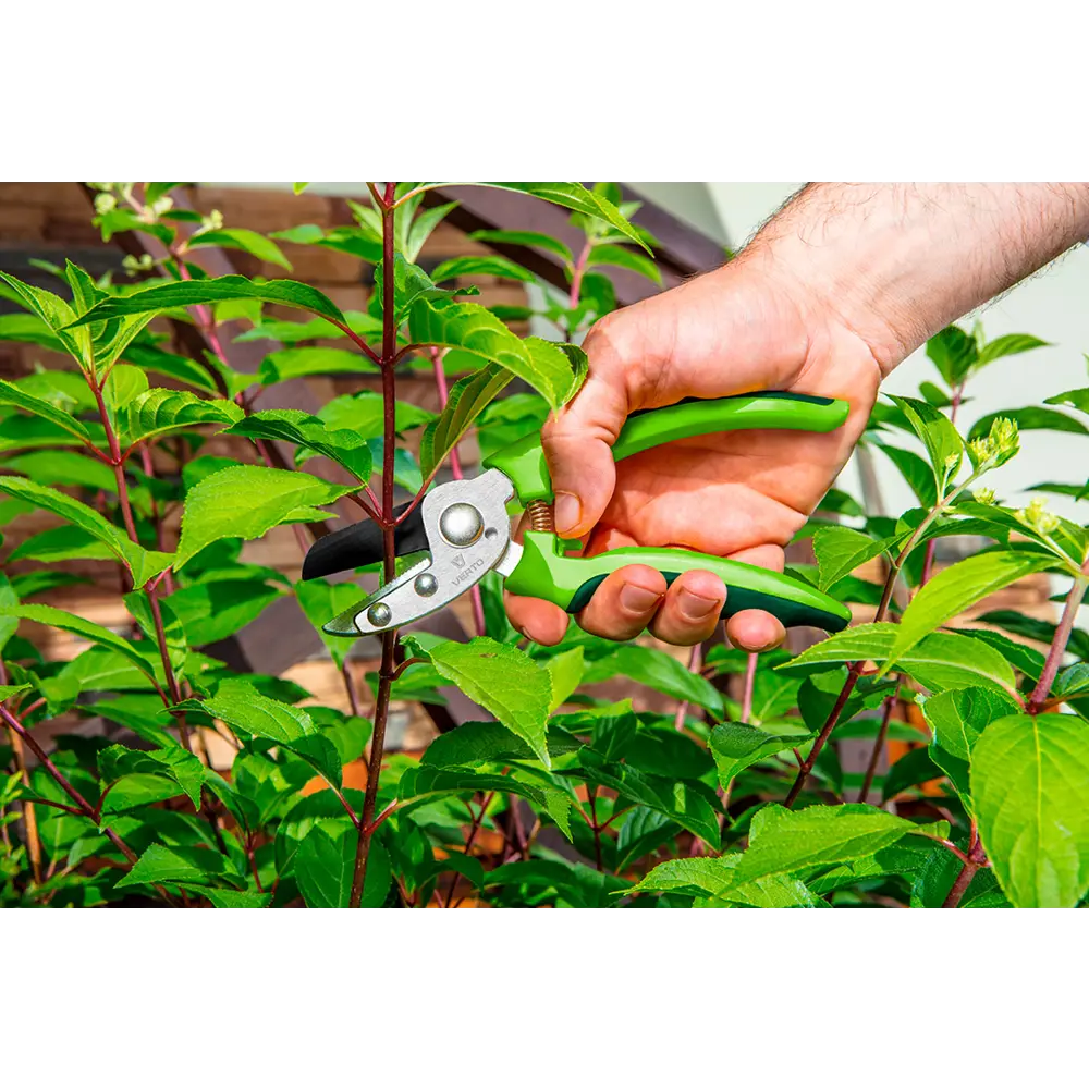 Секатор садовый Verto с наковаленкой ø10 мм STLM-2123167 - Вид №1