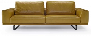 Natuzzi Кожаный диван Tempo