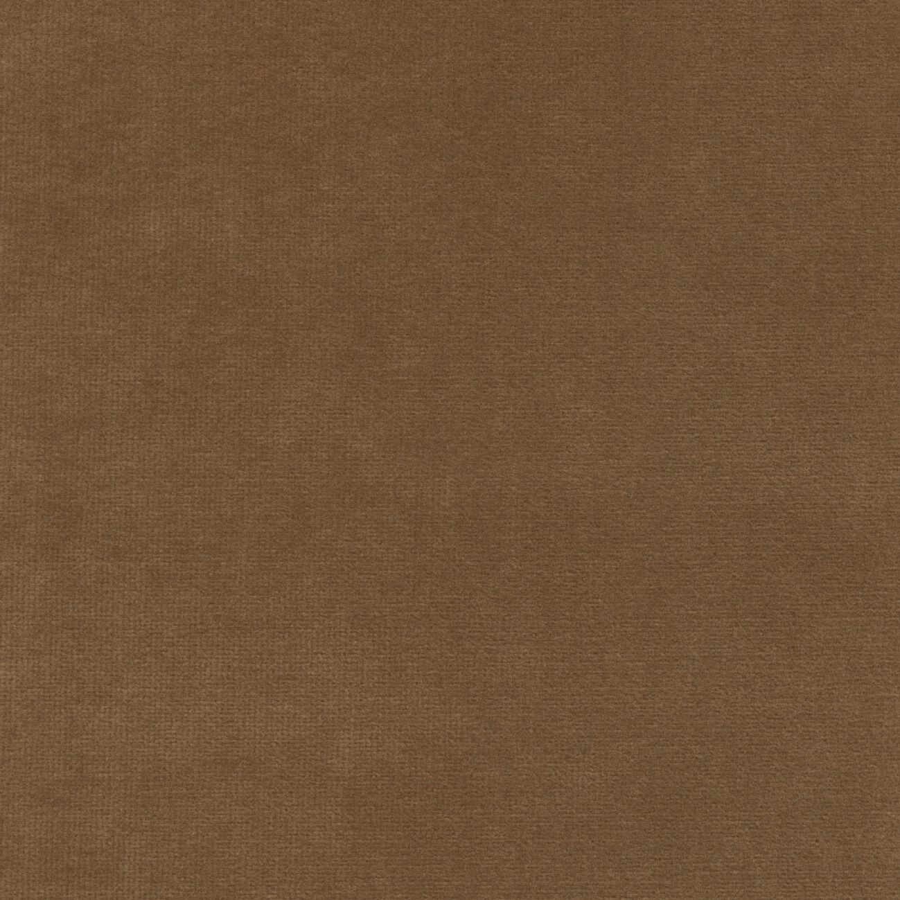 Бархатная однотонная ткань Élitis Palatine ARCH-00143253 - Вид №7