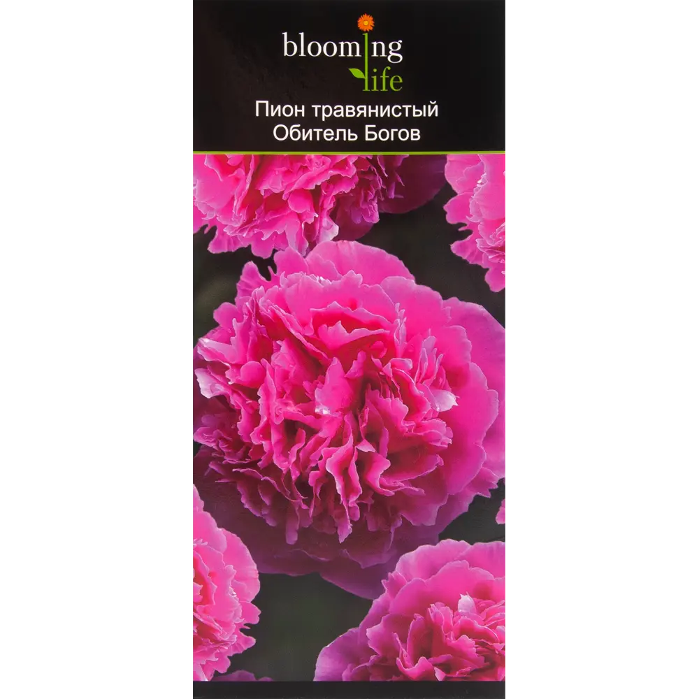 Пион травянистый Обитель богов в тубе 82539505 STLM-2206642 BLOOMING LIFE 