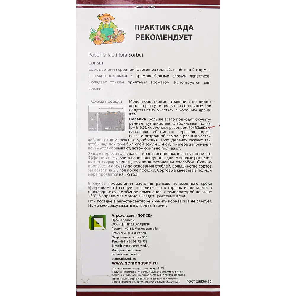 Пион молочноцветковый травянистый Сорбет 85205657 STLM-2168916 ПОИСК  - Вид №2