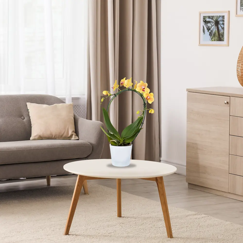 ТЕК.А.ТЕК | Прозрачный горшок для орхидей с интеллектуальной системой аэрации 18006208 Орхидея партер STLM-0009194 - Вид №1