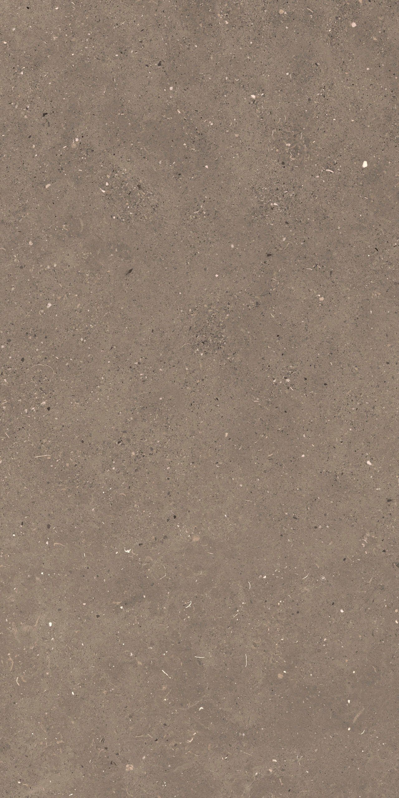 Пол / облицовка керамогранита с эффектом камня Fiandre сплошная ARCH-00006905 - Вид №4