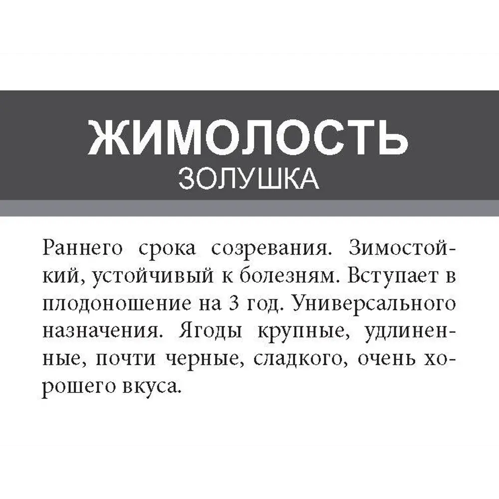 Жимолость Золушка ø15 h50 см 85670469 STLM-2169116 Santreyd  - Вид №1