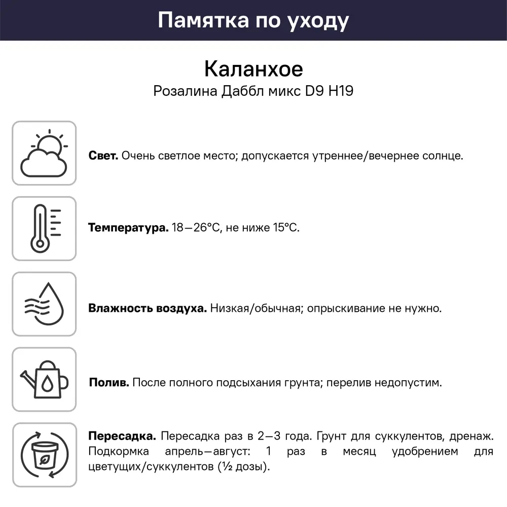 Каланхоэ Розалина Дабл микс ø9 h19 см 89434614 STLM-2056595 Santreyd  - Вид №4
