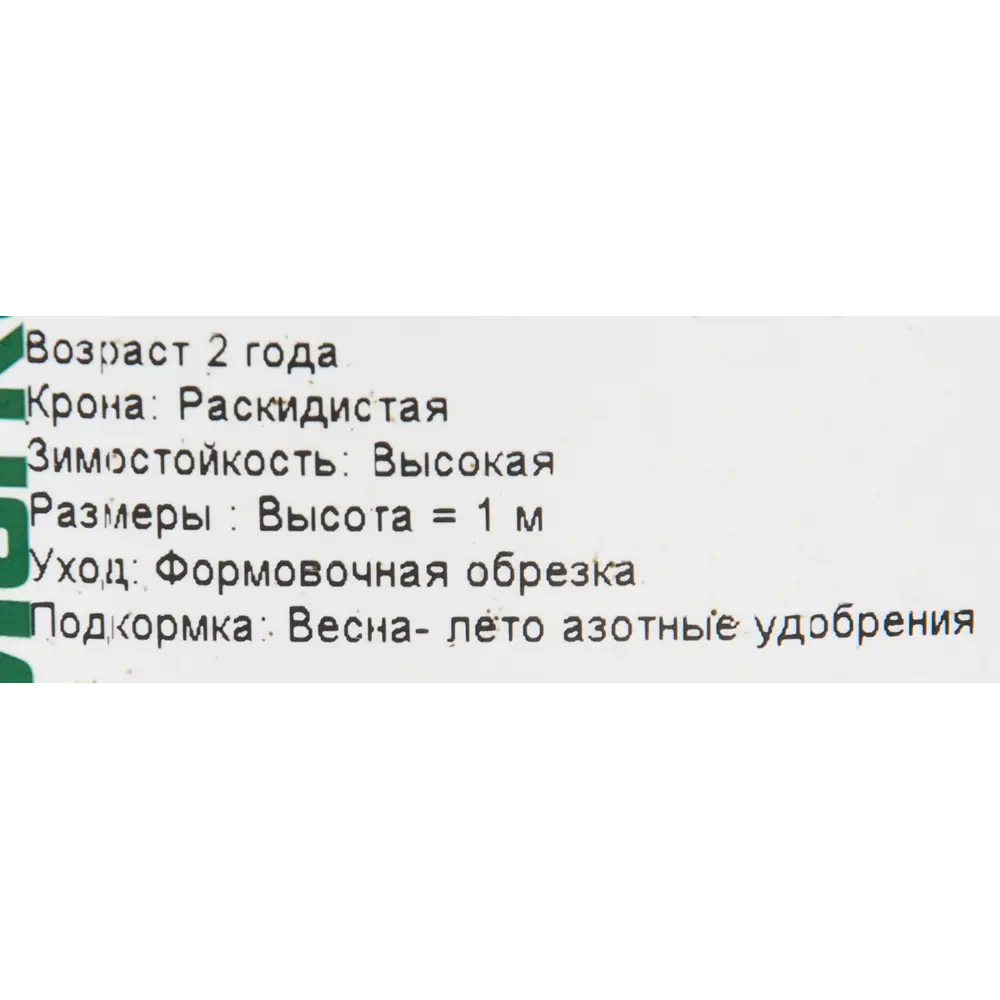 Астильба «Аметист» 15x45 см 82625221 STLM-2173501 PLANTMARKET  - Вид №1