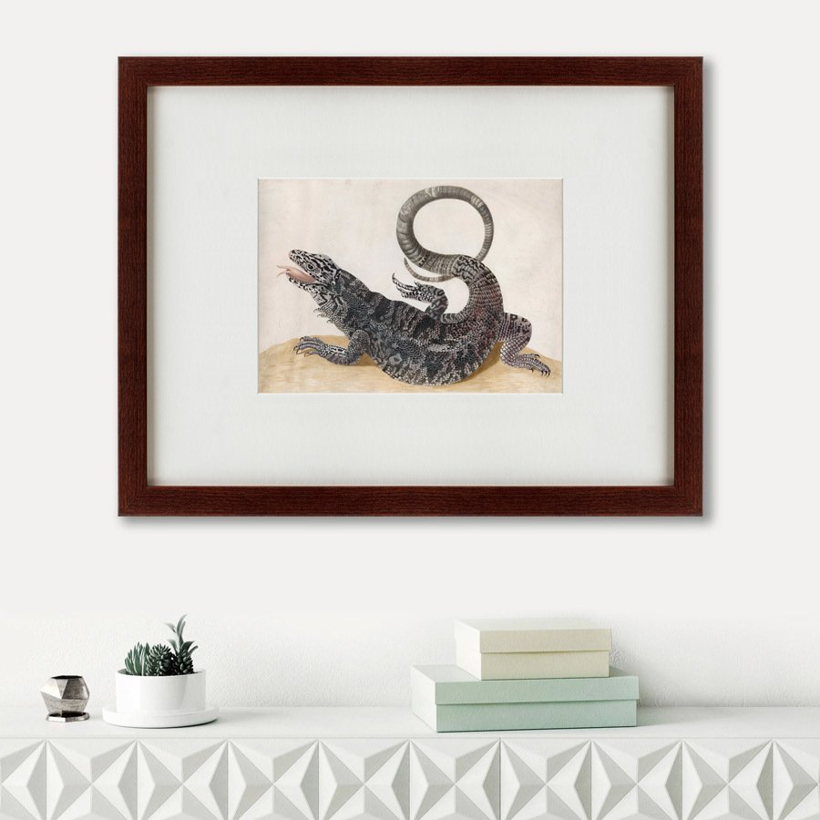Литография на тонированной бумаге 47х60 см Black Tegu Lizard, 1700 КАРТИНЫ В КВАРТИРУ  135650 Бежевый;белый;коричневый;разноцветный  - Вид №1