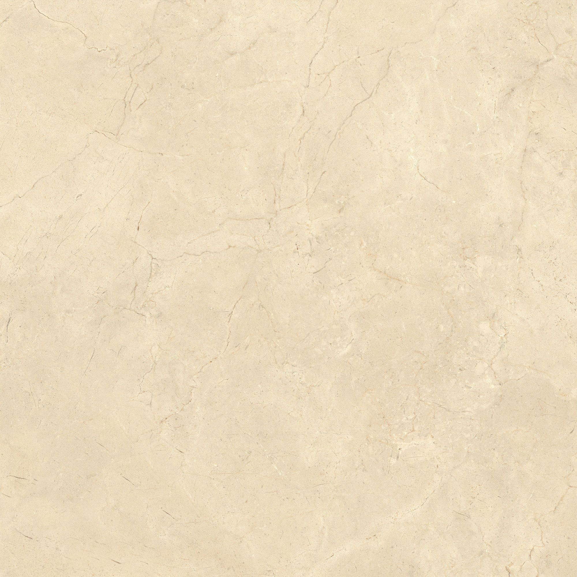 Пол / облицовка керамогранита с эффектом камня Italgraniti Calcis ARCH-00078048 - Вид №8