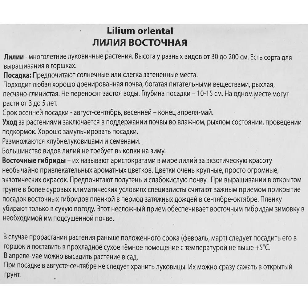 Лилия восточная Монтесума 85205769 STLM-2059177 ПОИСК  - Вид №2