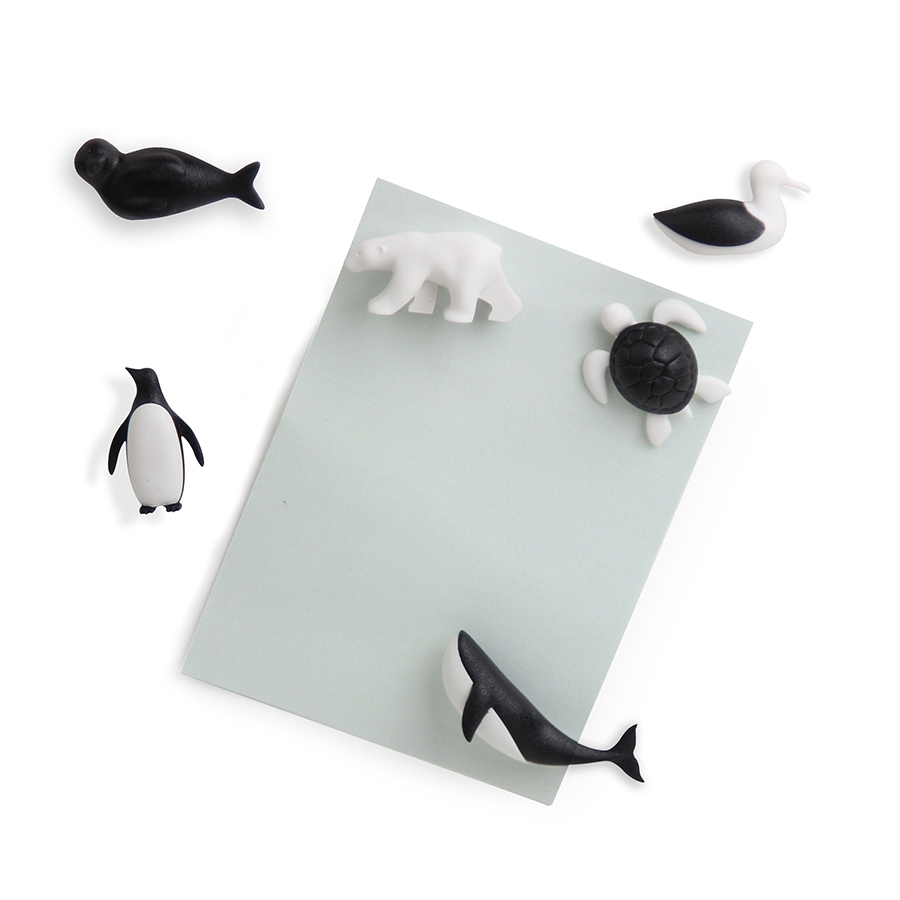 QL10311-BK-WH Набор из 6 магнитов для холодильника save the ocean Qualy 