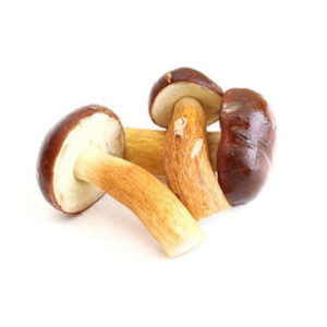 Маслята ~500 г