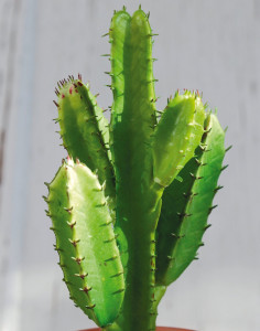 6484 883 a3 Сочные искусственные растения на палочке, 17 см, зеленые H-andreas