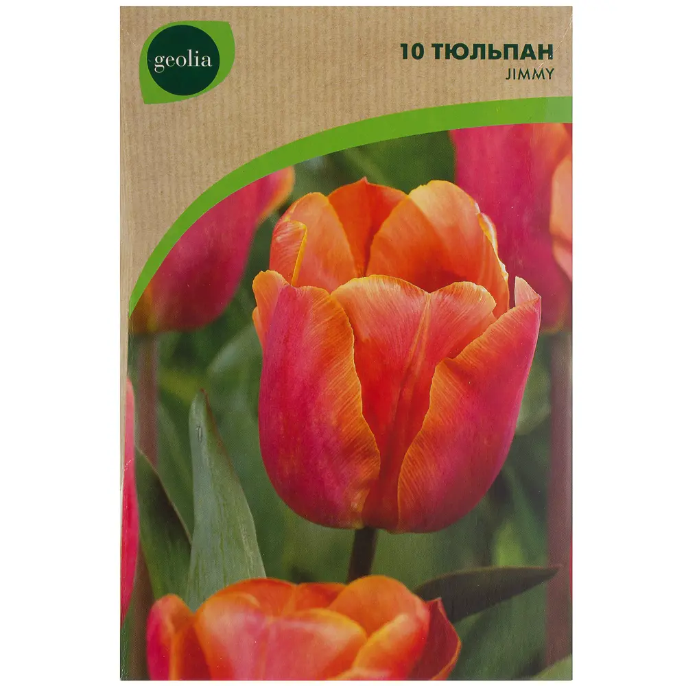 Тюльпан Jimmy GEOLIA 10 шт/9 18659049 STLM-2169752  - Вид №1