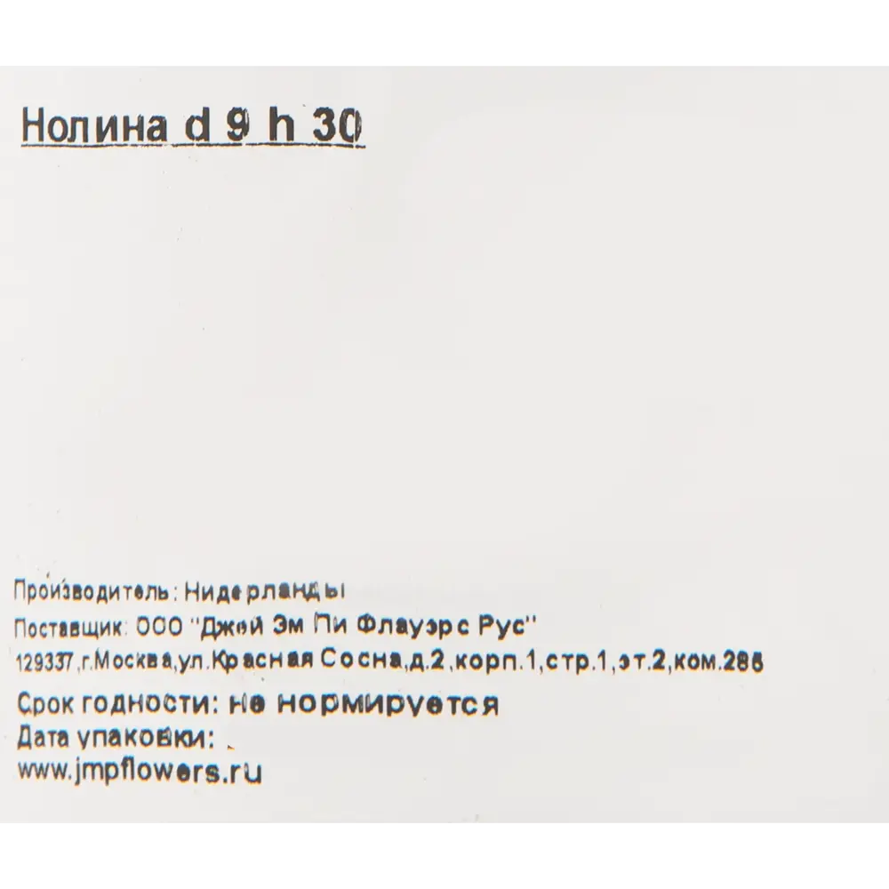 Нолина 9x30 см 82619843 STLM-2132469 OZ  - Вид №2