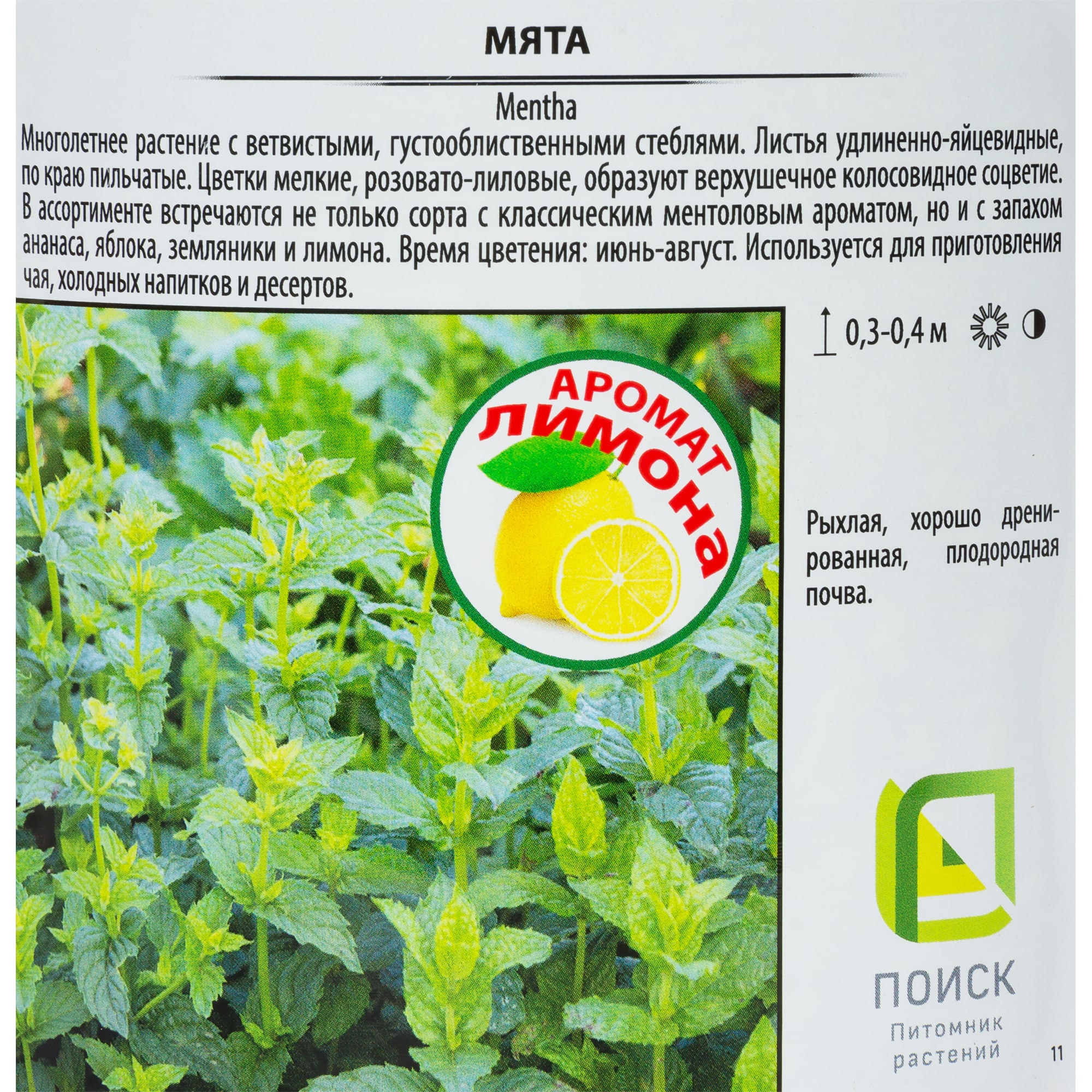 82219520 Мята Альмира 1.5 л h15 см Santreyd  - Вид №1