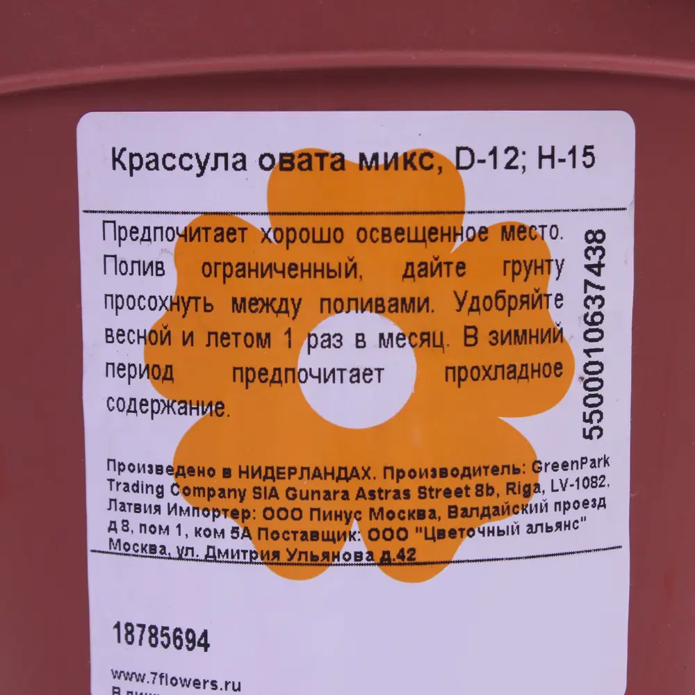 Santreyd Крассула Овата - денежное дерево для вашего интерьера 18785694 STLM-0012720 - Вид №2