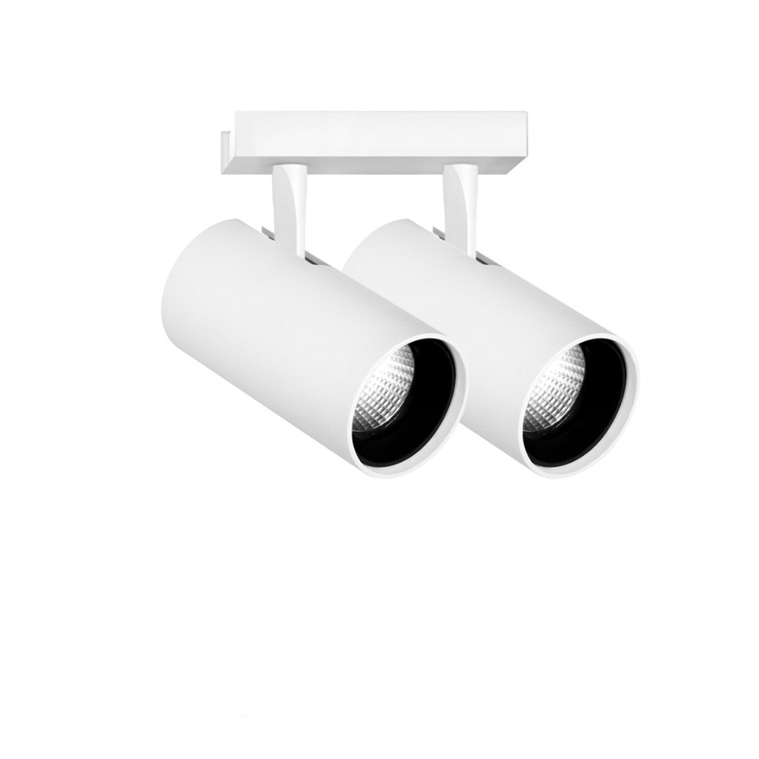 Point Evo 1W 2L Ghidini Point Evo Wall / Ceiling .01 Белый (Матовый) 