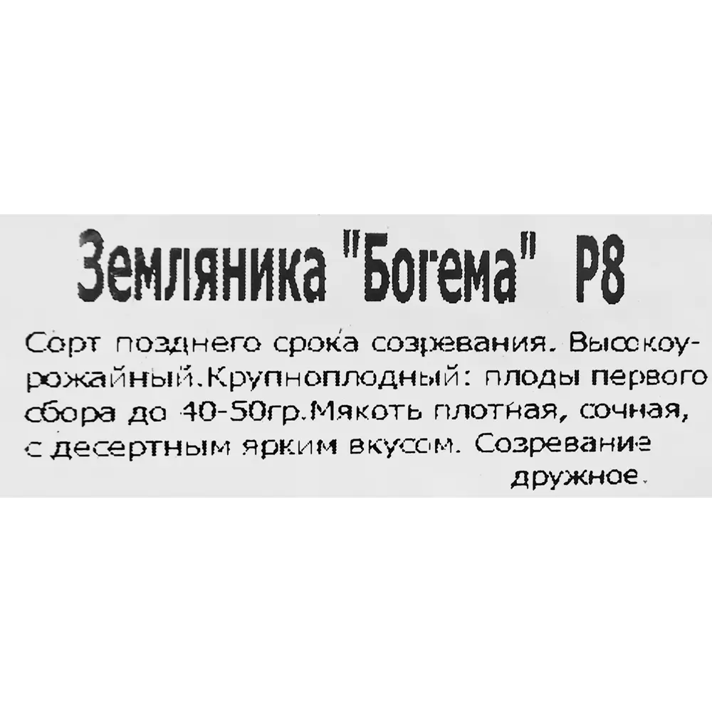 Santreyd Земляника Богема - ремонтантный сорт с крупными ягодами 83597593 STLM-0966025 - Вид №1