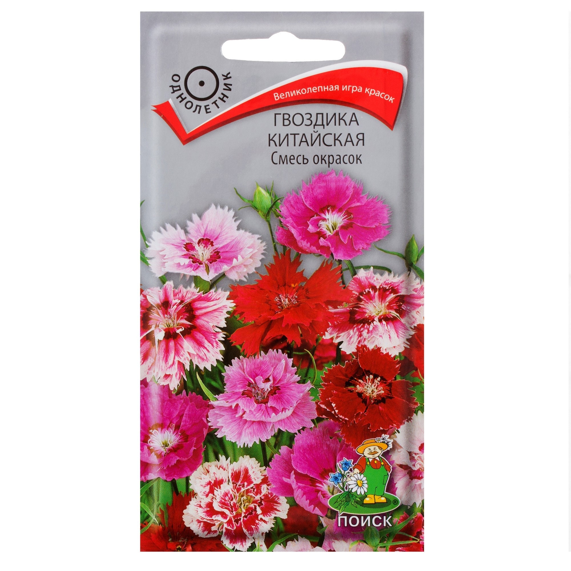 81931638 Гвоздика китайская «Персидский ковёр» Santreyd 