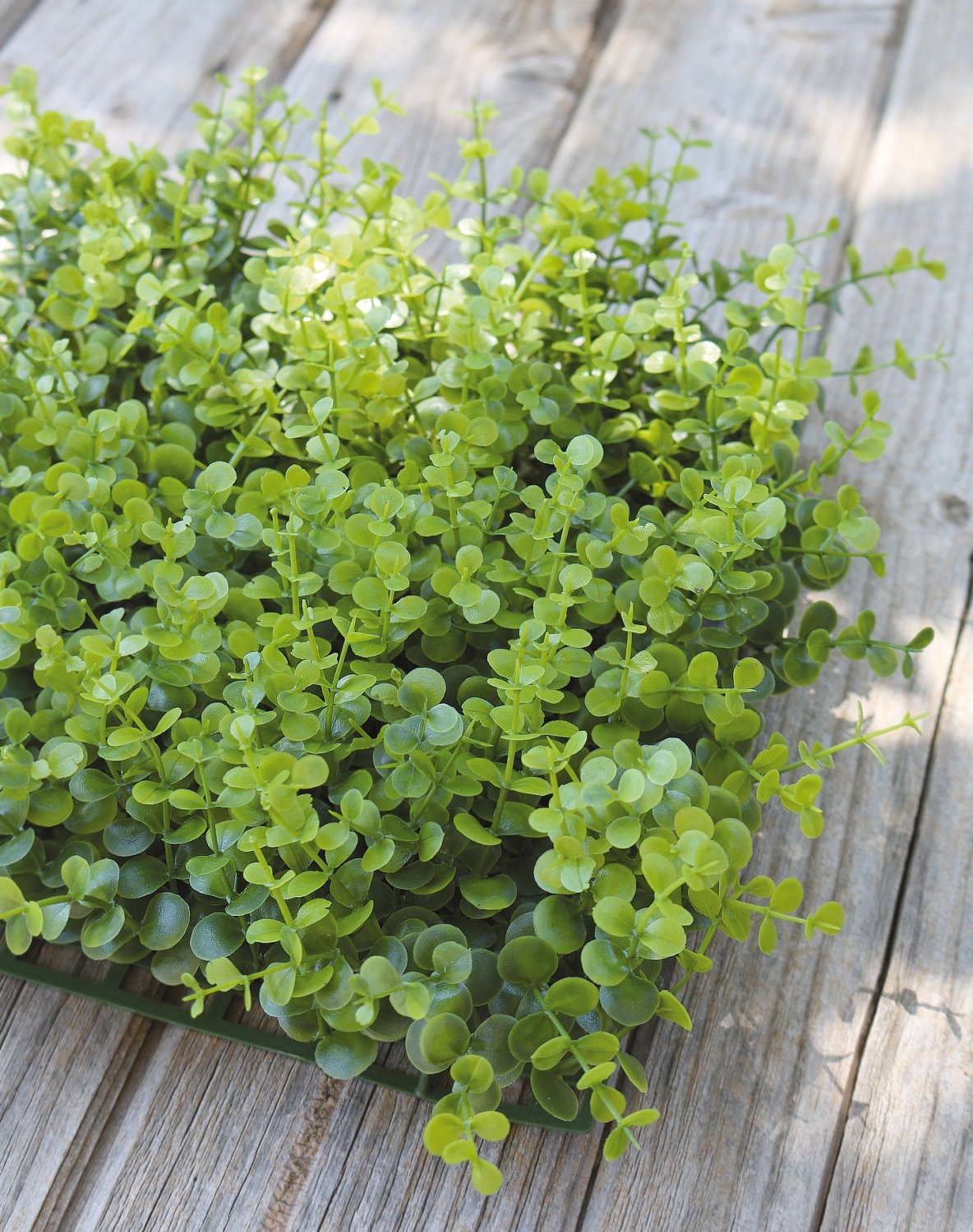 4889 883 a3 Пластиковый коврик из самшита, 35 x 35 см, зеленый H-andreas  - Вид №3