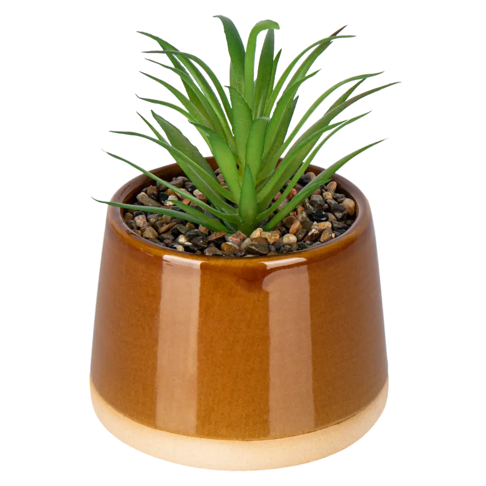 Искусственное растение Flora H12xD8.5 см цвет коричневый пластик Atmosphera STLM-2060645