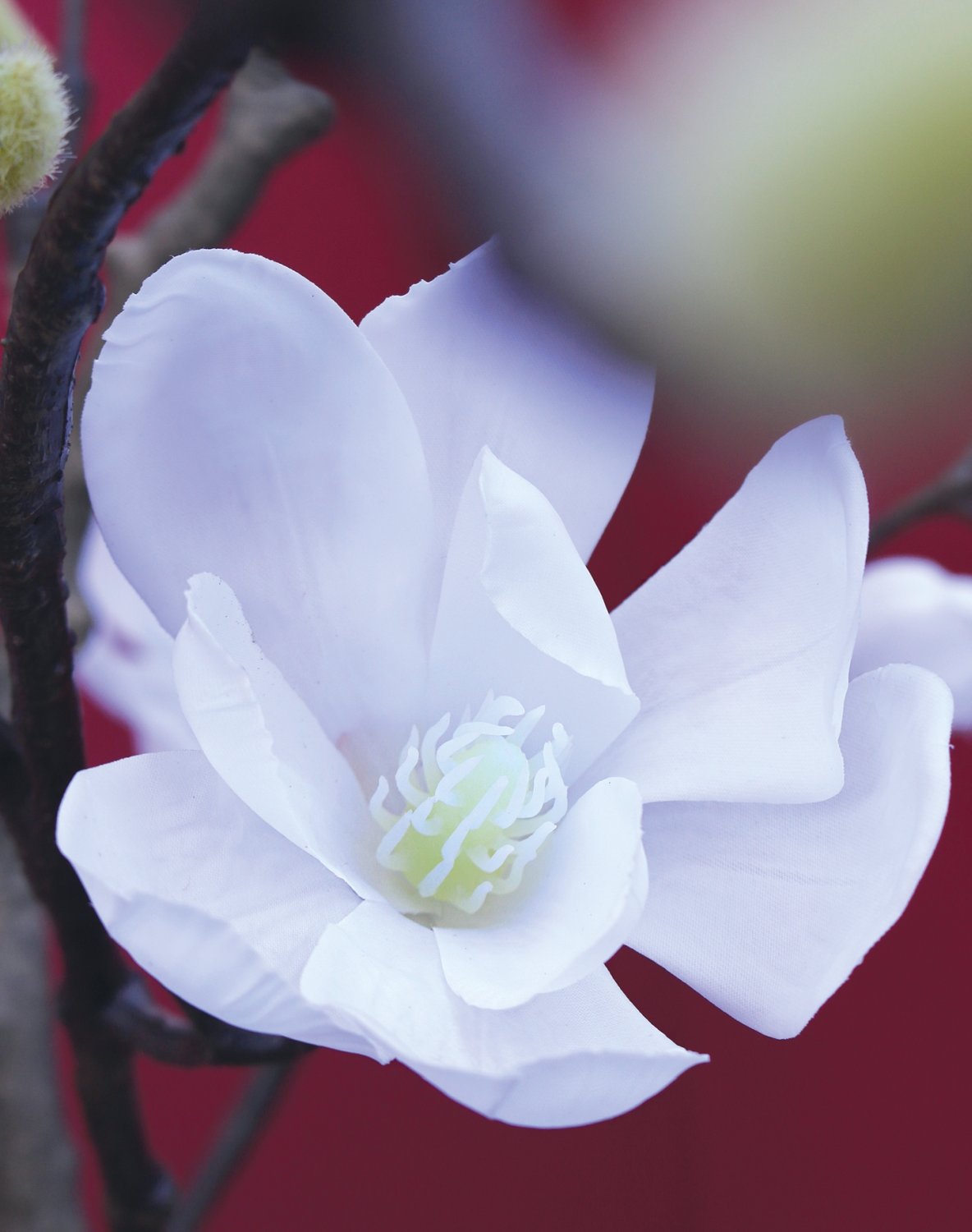 5850 778 a3 Искусственное цветущее дерево магнолии, горшечное, 210 см, бежево-белое H-andreas 