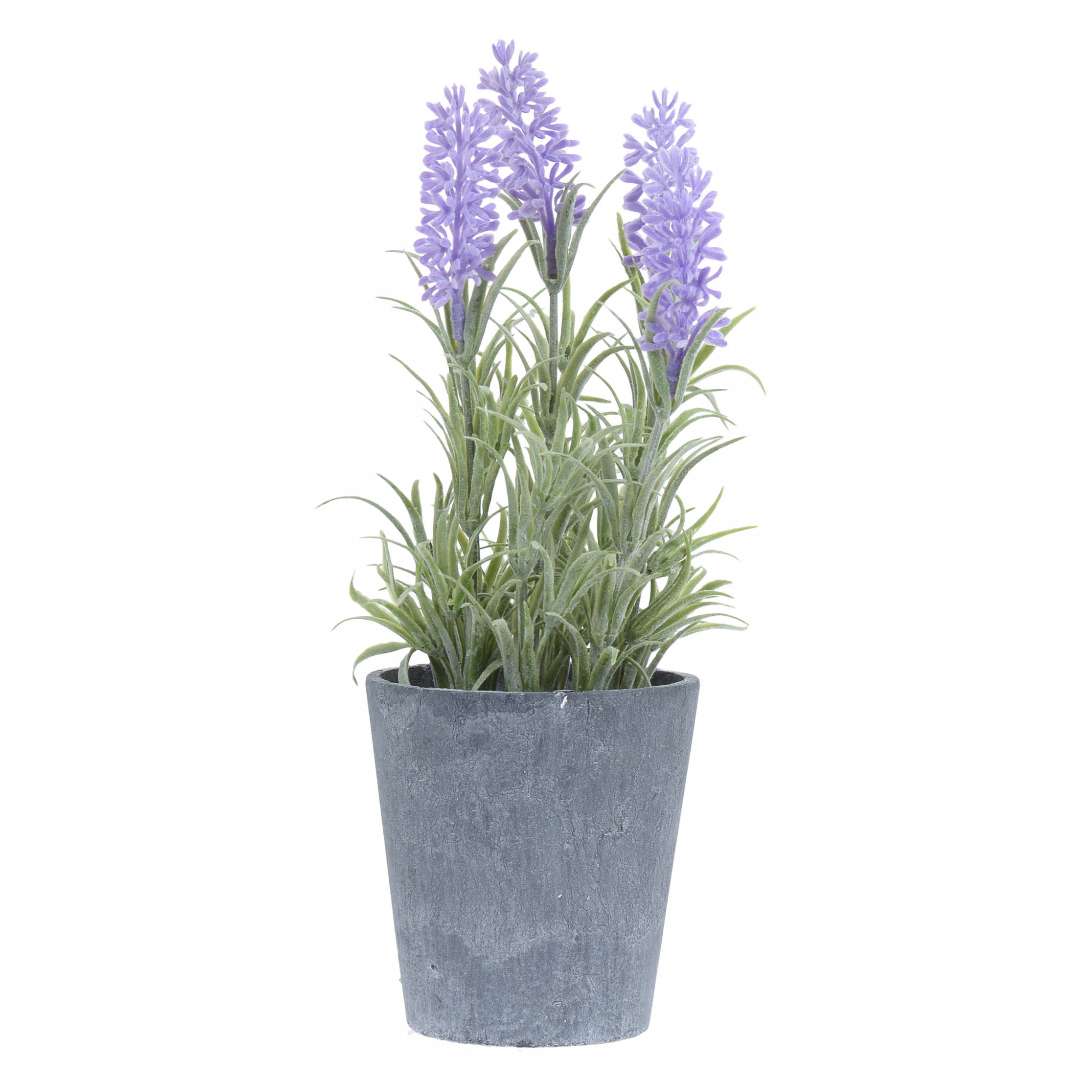 3885475.0139 Металлический горшок с лавандой TO4ROOMS 