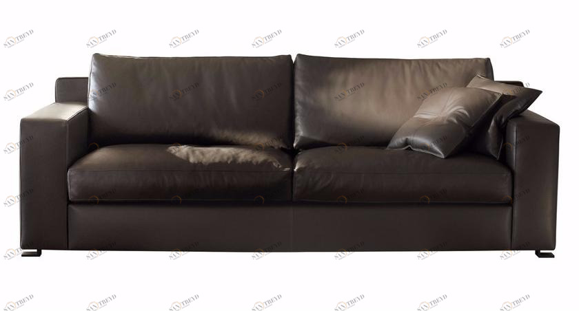 CTS SALOTTI Кожаный диван Roger sun-id-1376586