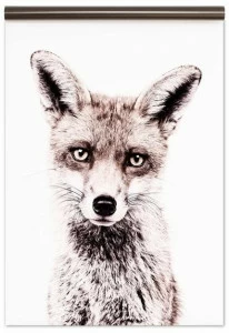 Groovy Magnets Магнитные обои Animal Mbp-62-f