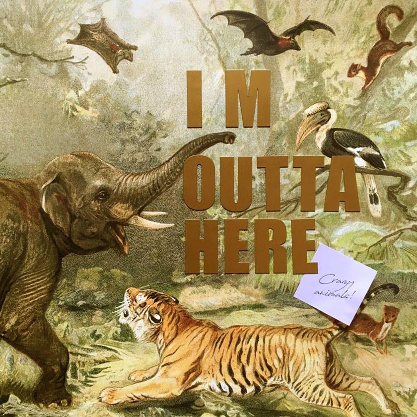 Groovy Magnets Магнитный плакат Animal Pos-ff - Вид №5