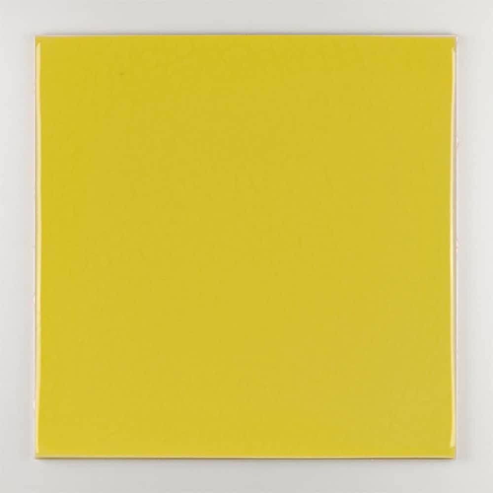 Пол / покрытие ручной работы La Riggiola одноцветный ARCH-00019984 - Вид №15