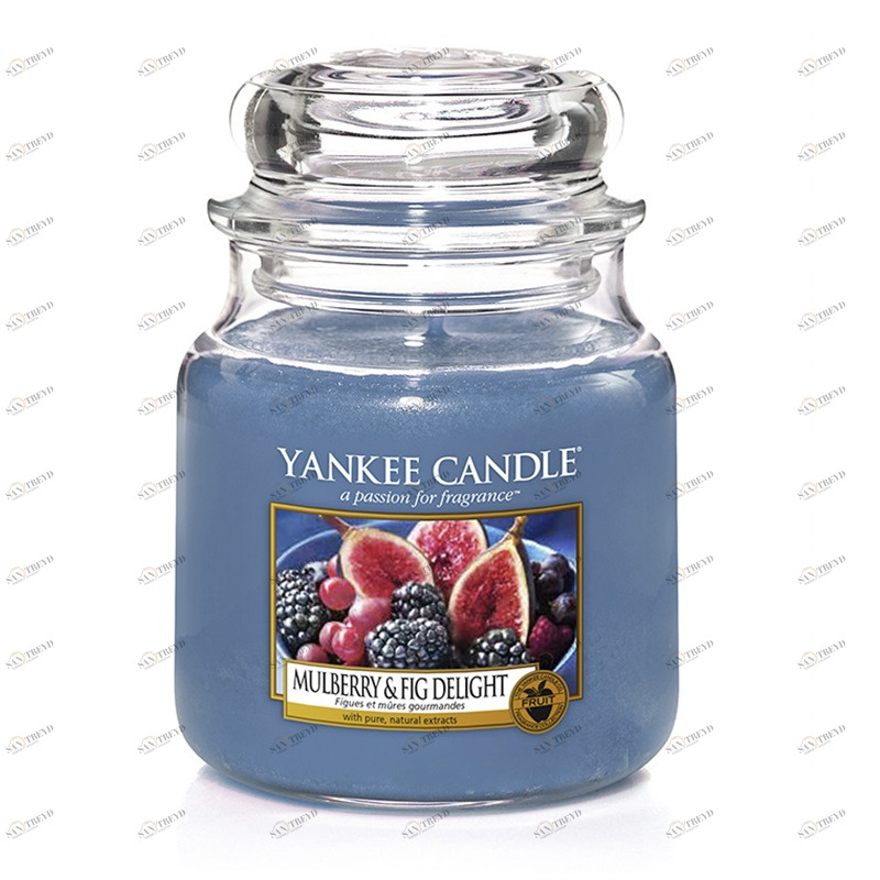 Свеча средняя в стеклянной банке "Инжир и ежевика" 411 гр 65-90 часов YANKEE CANDLE  267971 Голубой 