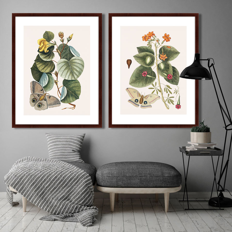 Картина: Beauty bloom №3, 1732г. КАРТИНЫ В КВАРТИРУ  264203 Разноцветный  - Вид №2