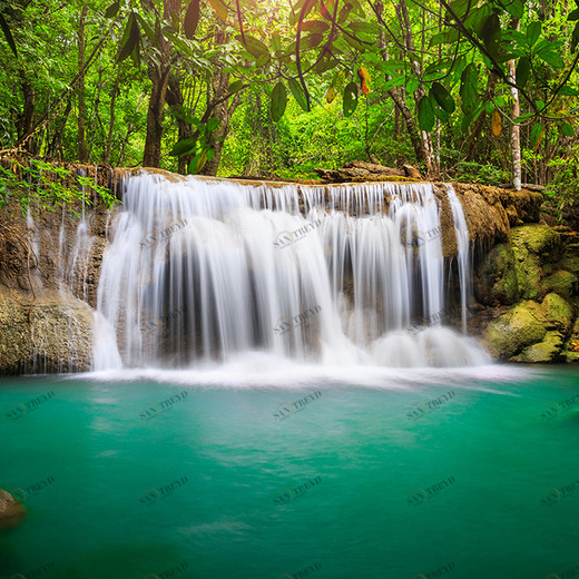 C1-017 Фотообои DIVINO Collection C 2.38х3 м C1017