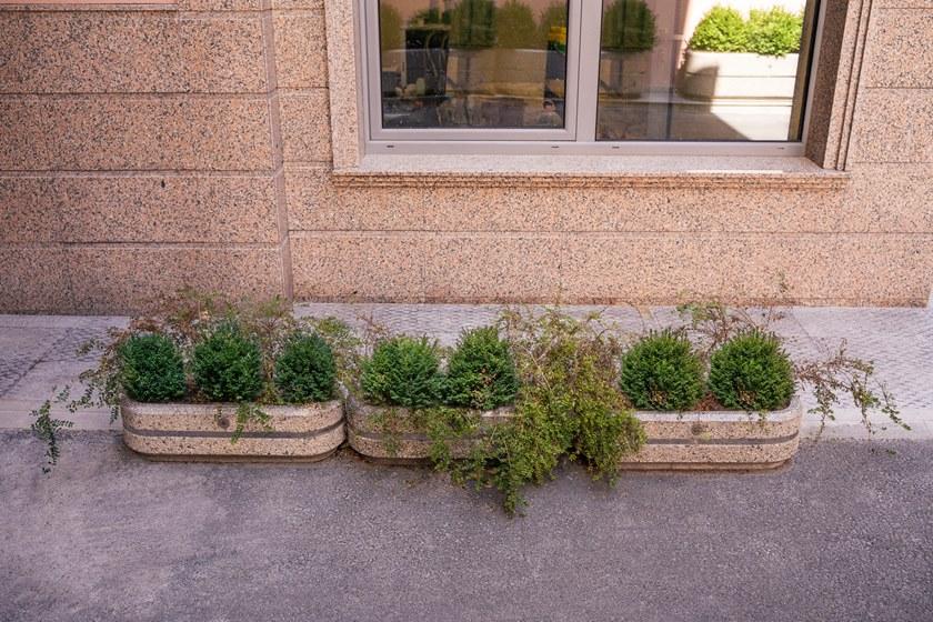 ENCHO ENCHEV - ETE Низкобетонная сеялка для общественных мест sun-id-1456813 - Вид №2