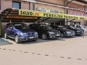 SELVOLINA Стальное навес для парковок