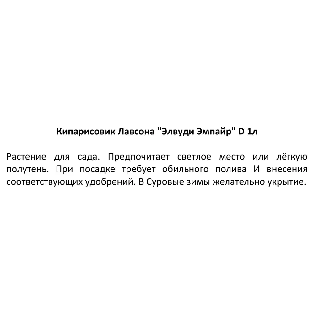 Кипарисовик Лавсона Элвуди Эмпаир h15 см 87718618 STLM-2164423 Santreyd  - Вид №2