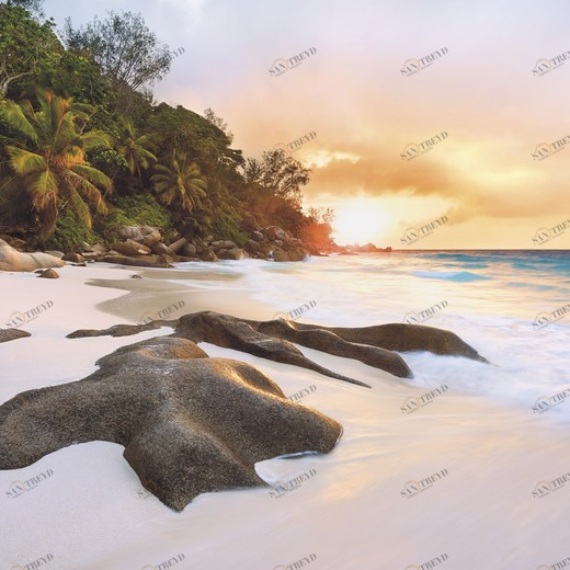 SH089-VD4-Nature Фотообои Komar Stefan Hefele 2.5х4 м SH089VD4NATURE