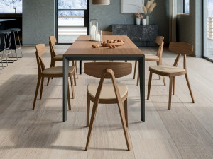 Стул из ясеня с мягким сиденьем