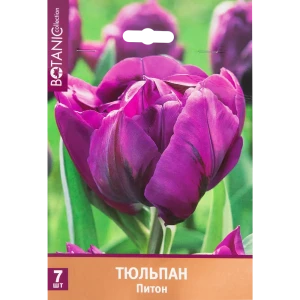 Тюльпан «Питон» размер луковицы 11/12, 7 шт. 82666003 STLM-2085560