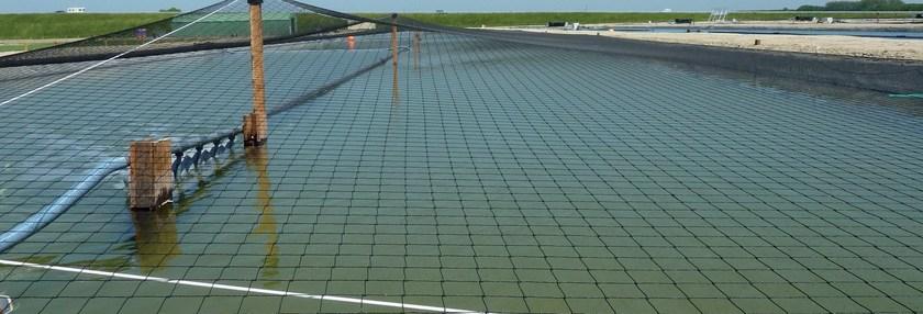 Firestone Building Products Геомембрана в epdm sun-id-1456800 - Вид №10