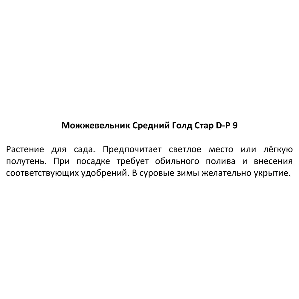Можжевельник средний Голд Стар ø9 h15 см 87718601 STLM-2192278 Santreyd  - Вид №2