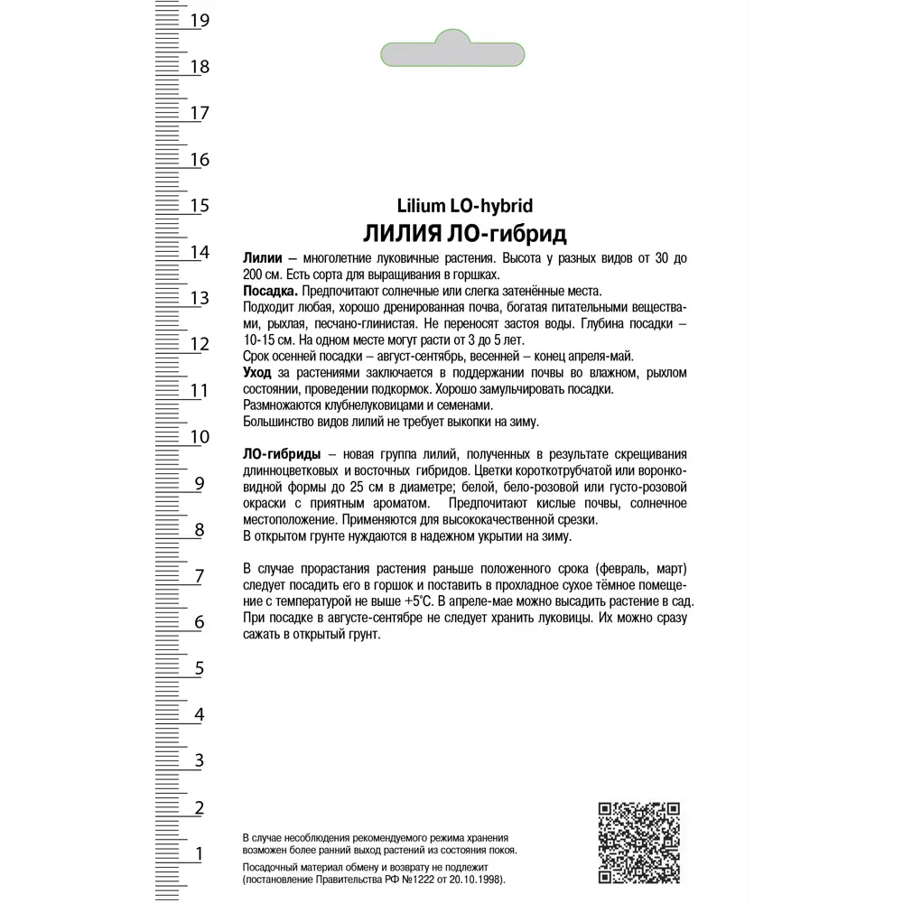 Лилия ЛА-гибрид «Триумфатор», высота 50 см, 1 шт. 82000202 STLM-2090006 Santreyd  - Вид №1