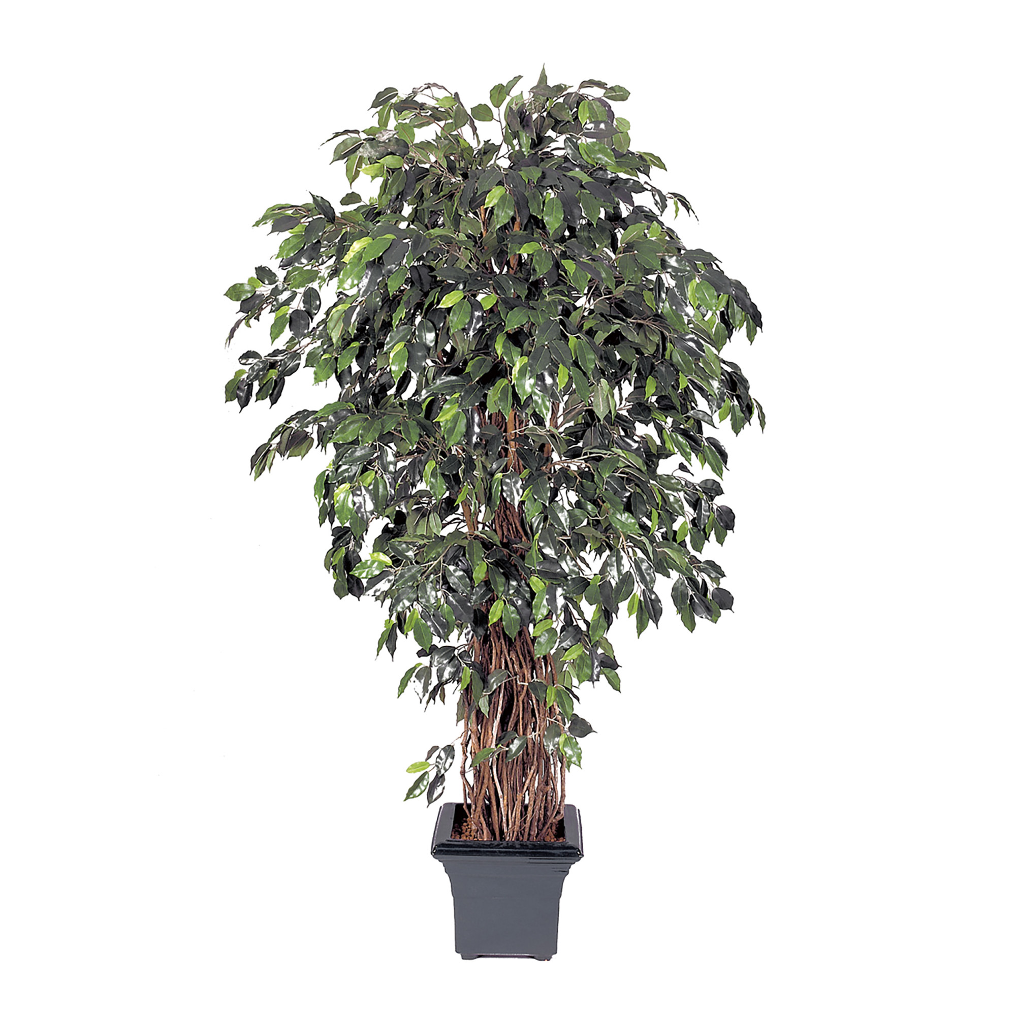 2000983195760 Фикус Лиана де люкс 150 см CARPET DECOR 