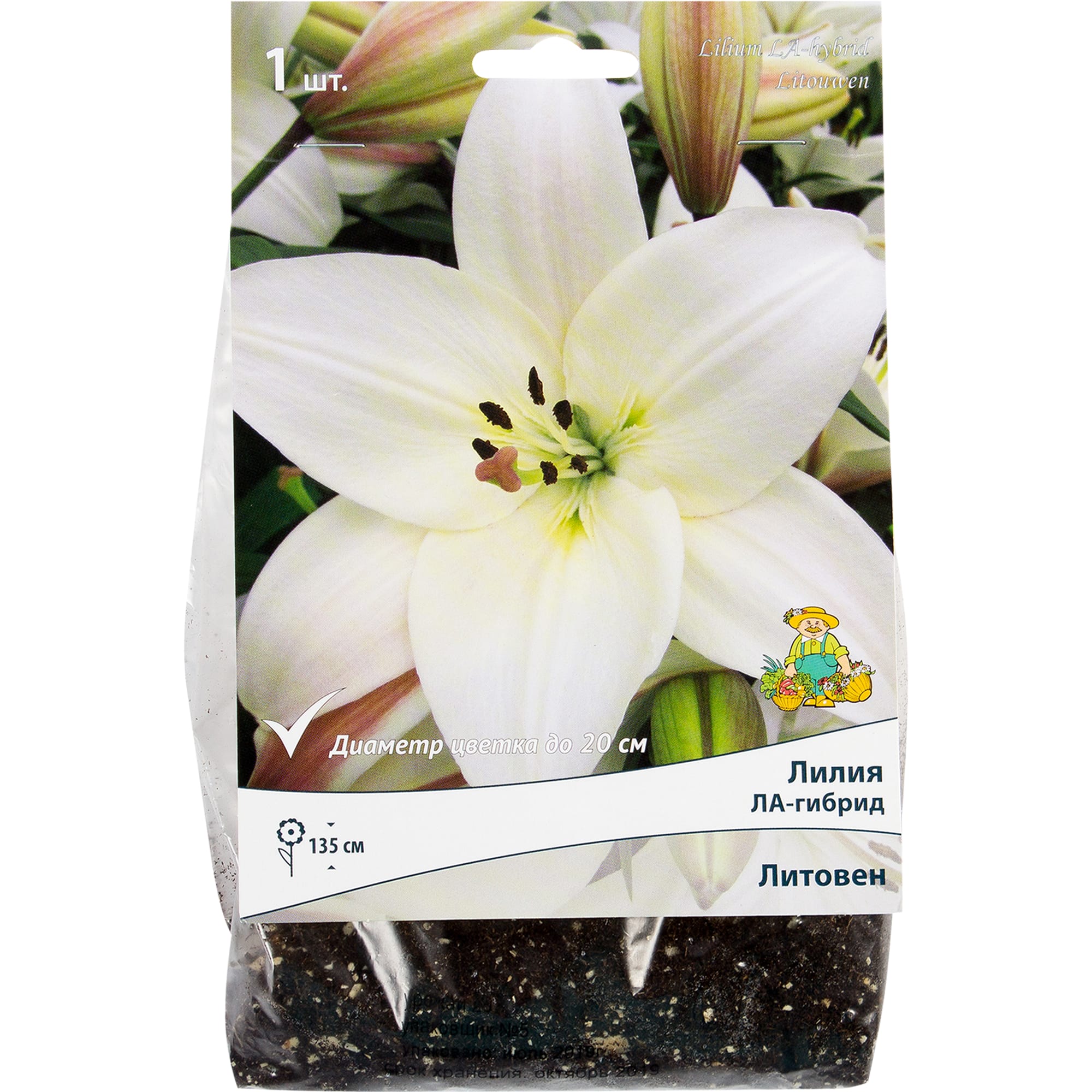 82319572 Лилия ЛА-гибрид «Литовен», размер луковицы 14/16 Santreyd 