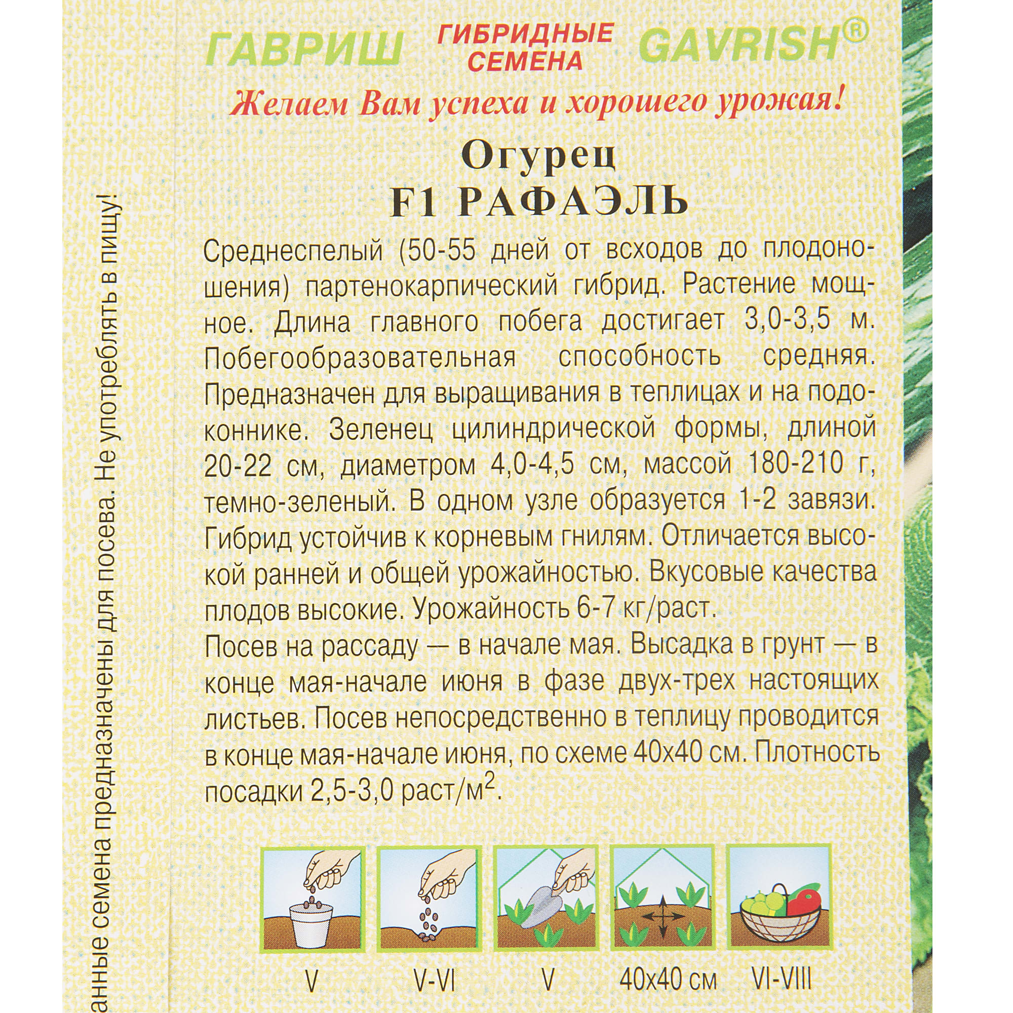 13901166 Семена Огурец «Рафаэль» F1 Santreyd  - Вид №2